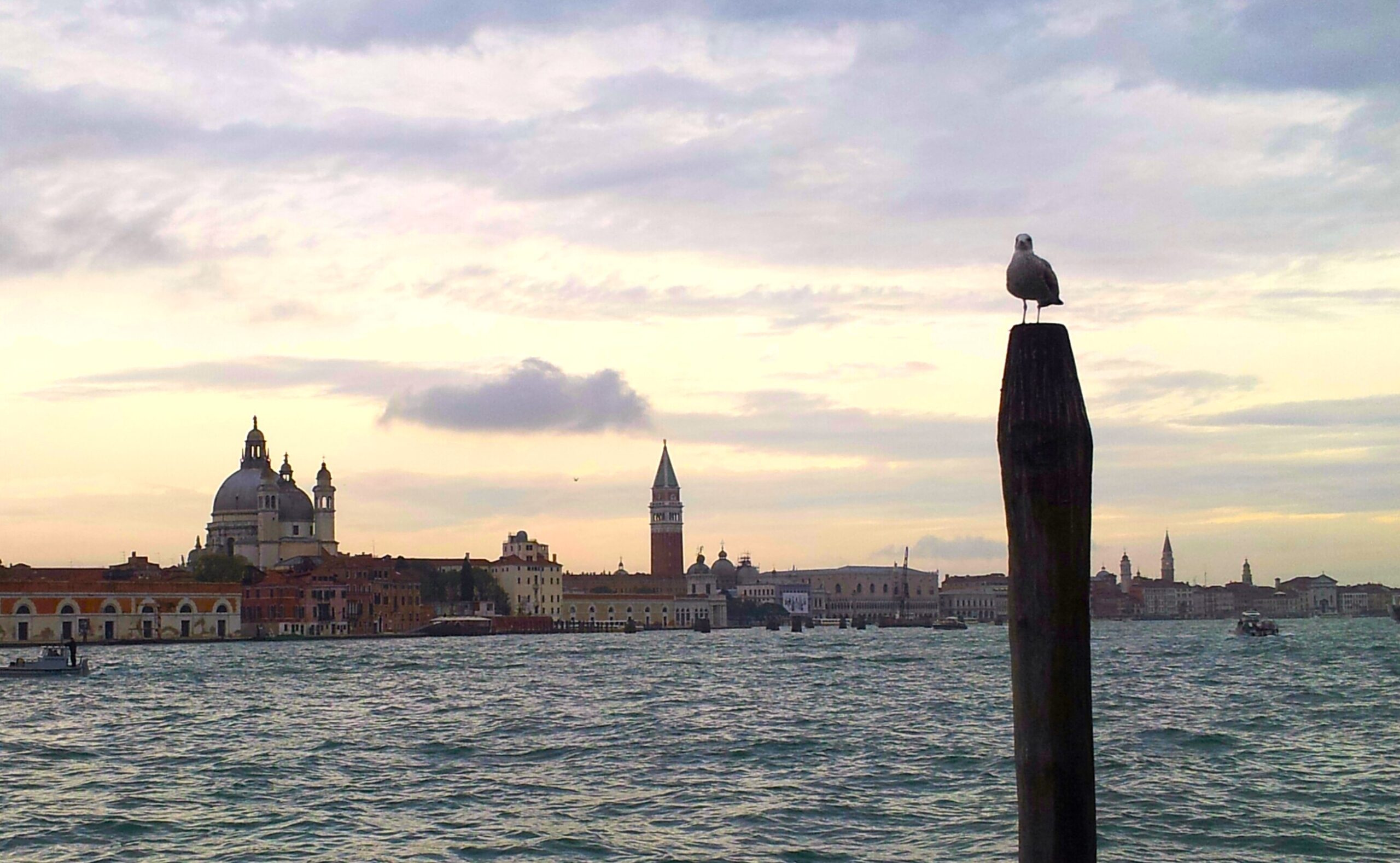 Giudecca v2
