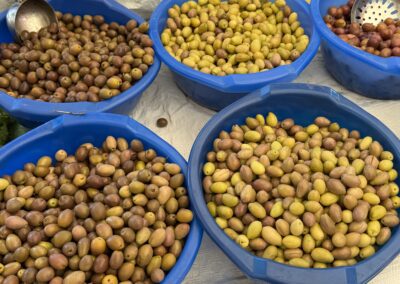 Blue bins filled with green and brown olives, with metal scoops resting inside, at a market stall.