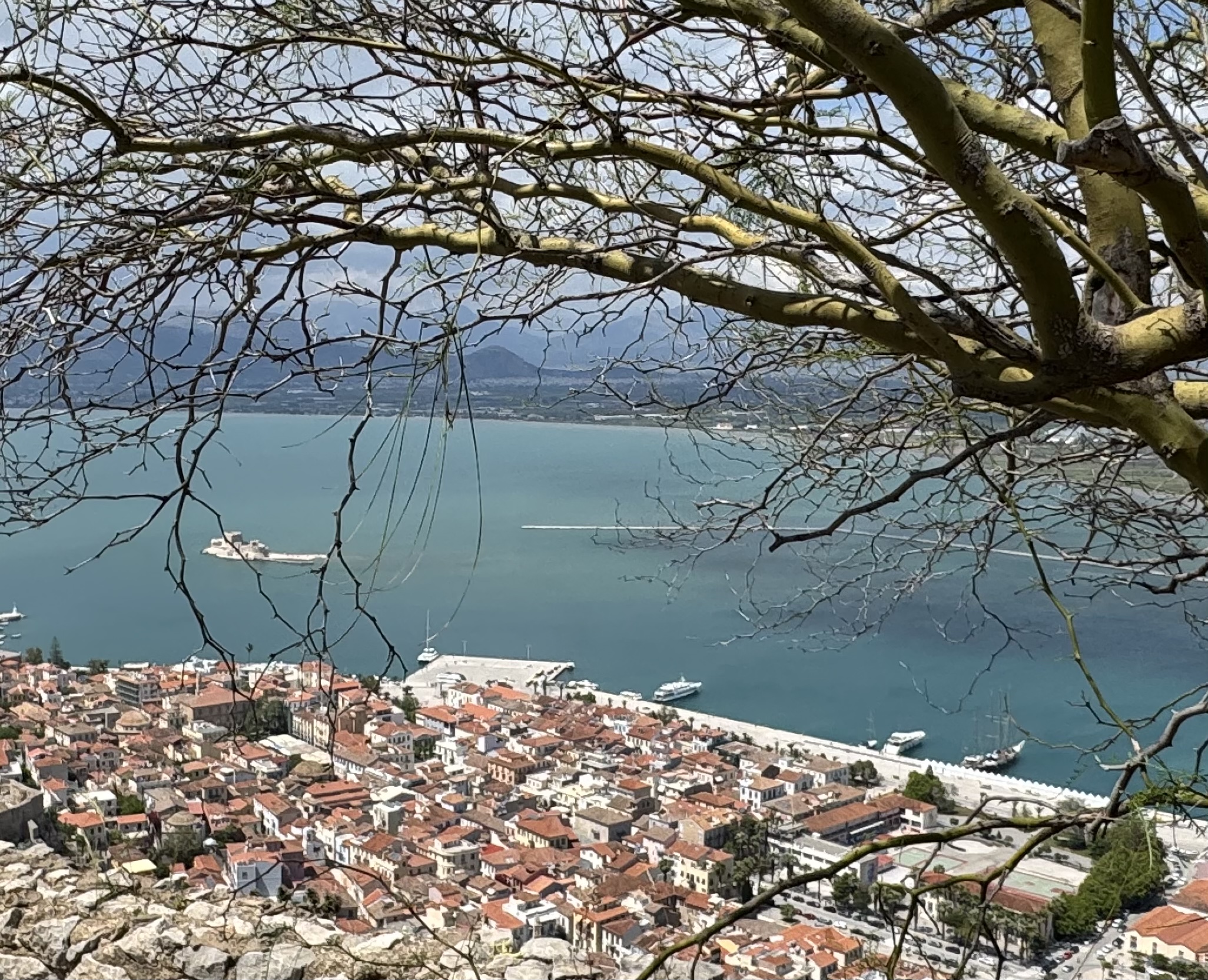 IMG_9016 View of Nafplio from the Palamidi Fortress - Taussig Travel Coastal town with dense red-tiled rooftops along the shoreline, framed by bare tree branches and distant mountains in the background.