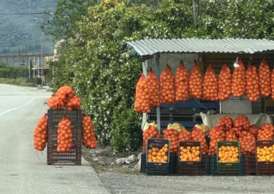 Roadside fruit stand with orange bags of fruit hanging in crates under a corrugated roof, hillside in the background.