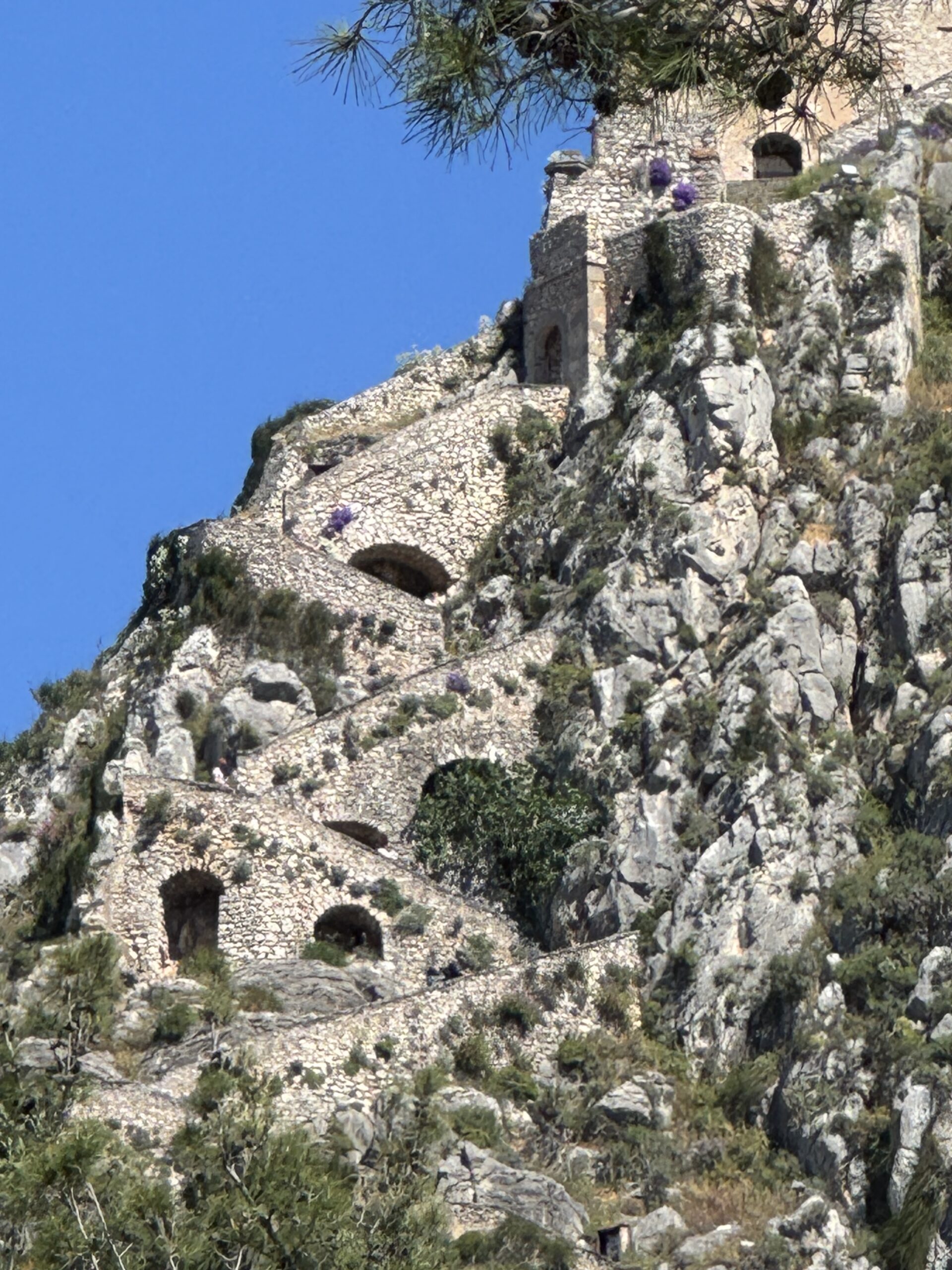 IMG_9331 Palamidi steps - Taussig Travel Stone fortress ruins perched on a steep rocky hillside, with arches and purple flowers against a bright blue sky.