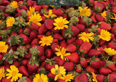 Fresh strawberries piled in a market display with yellow flowers; price sign reads 4€.